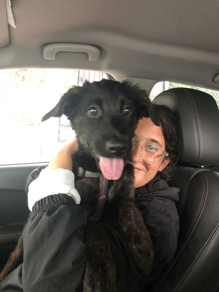 80 coisas que pensei durante o primeiro mês com minha cachorra 4