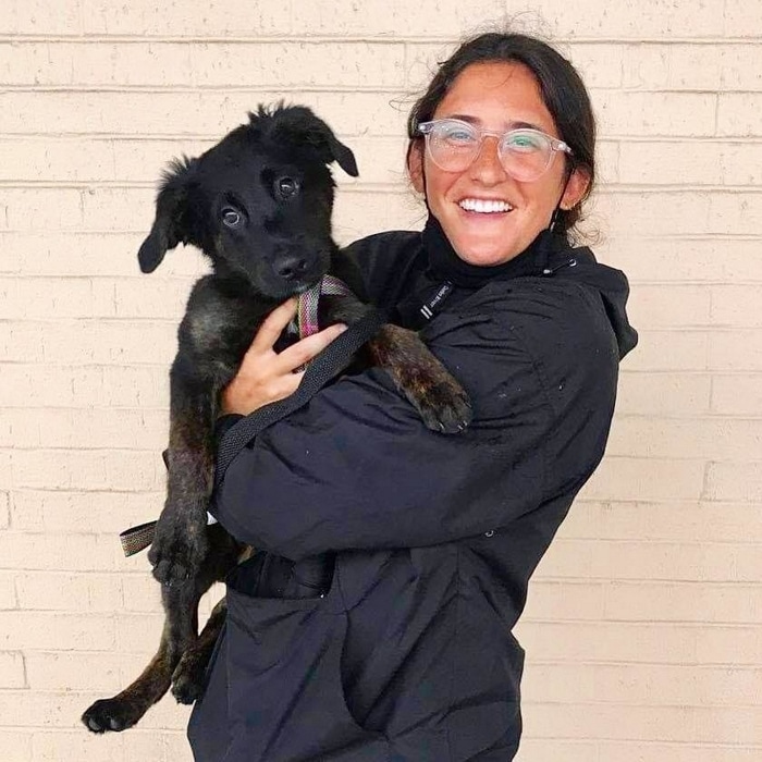 80 coisas que pensei durante o primeiro mês com minha cachorra 1