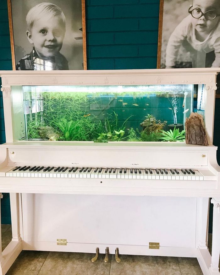 18 decorações inovadoras e exclusivas para as pessoas iluminarem suas casas 11