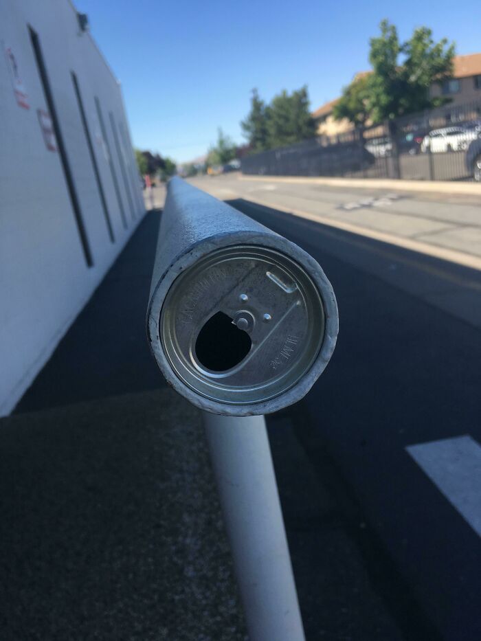 É uma sensação boa, cara. Olha essas 35 das suas melhores fotos 1