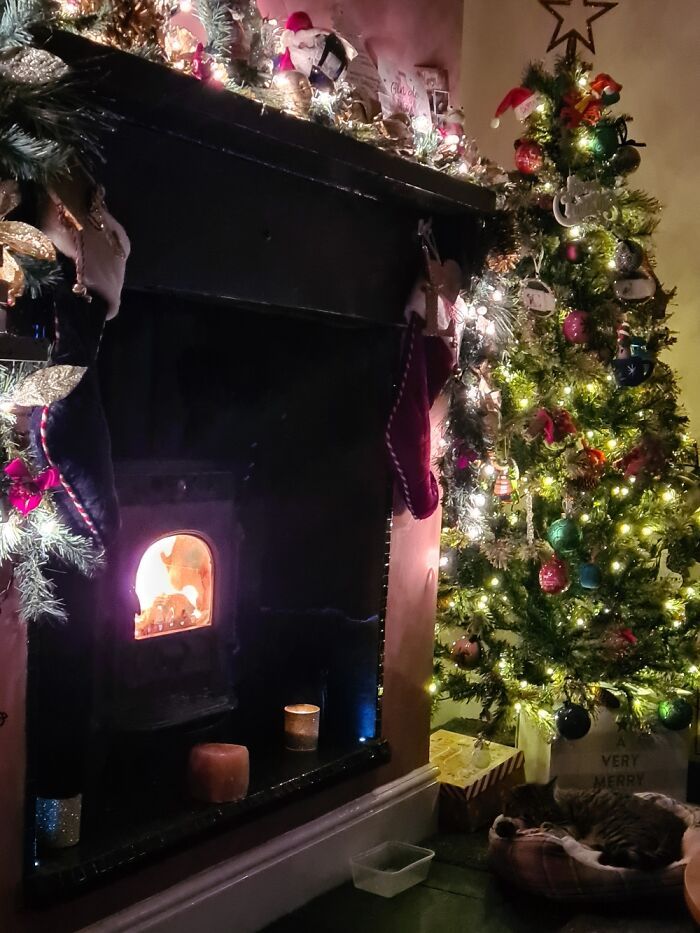 Ei, leitores, compartilhem sua árvore de Natal conosco 11