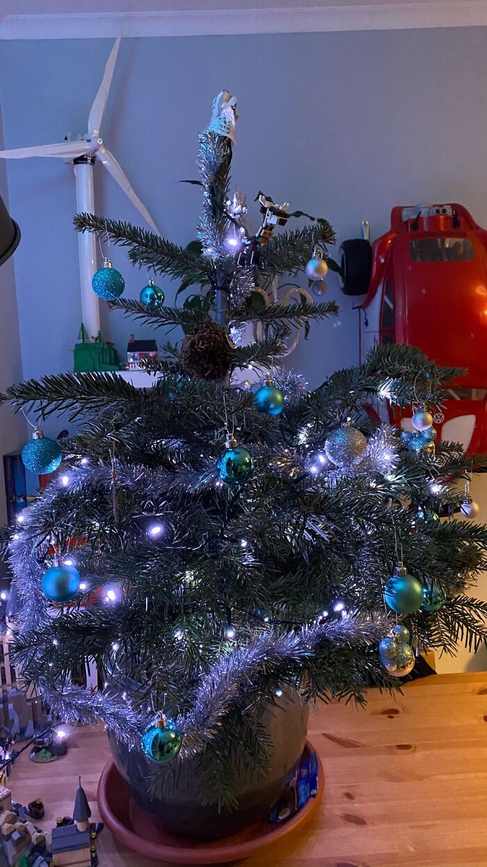 Ei, leitores, compartilhem sua árvore de Natal conosco 25