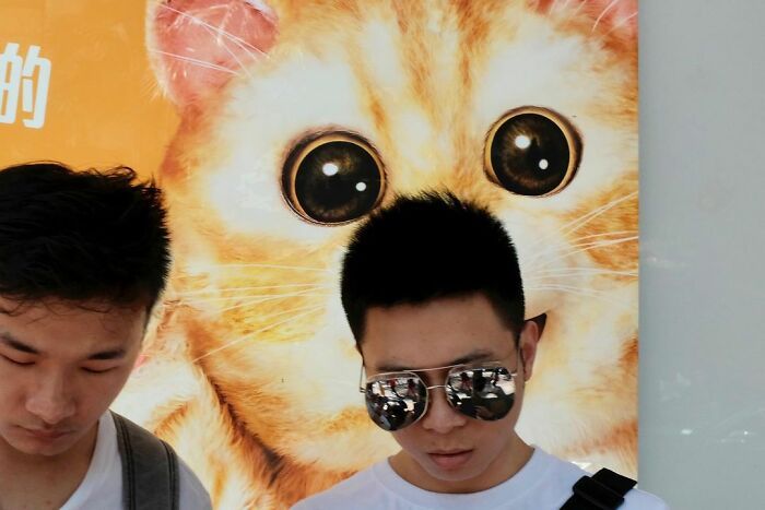 Fotógrafo de rua observa e tira fotos em momentos acidentais engraçadas 31