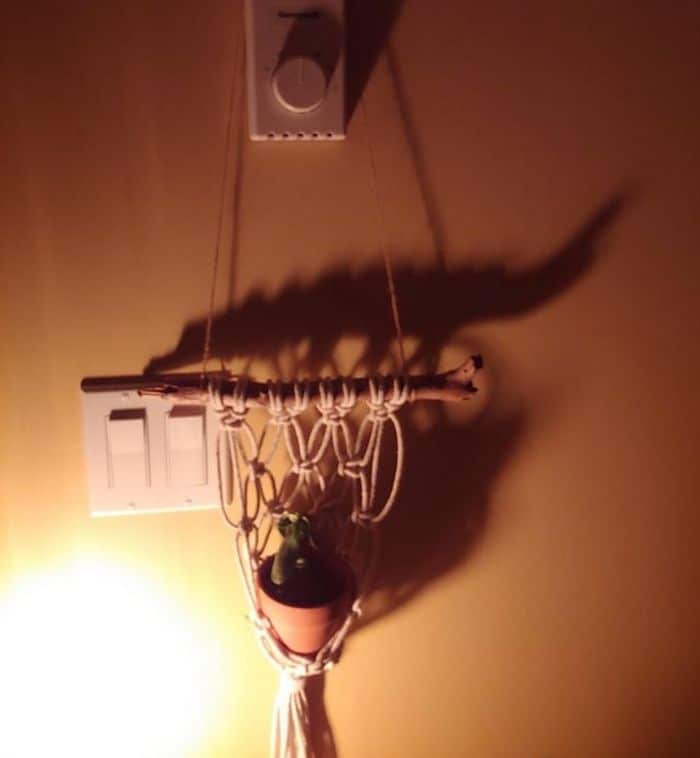 16 fotos desconcertantes onde as sombras contam uma história diferente 13