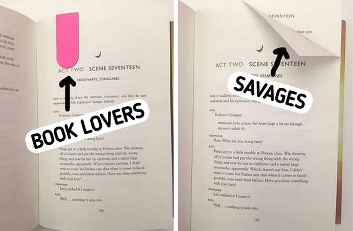 16 fotos provando que sempre há 2 tipos de pessoas 13