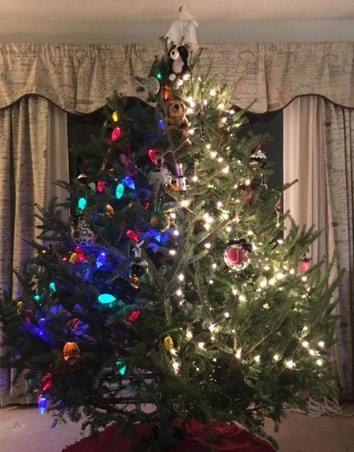 16 fotos provando que sempre há 2 tipos de pessoas 16