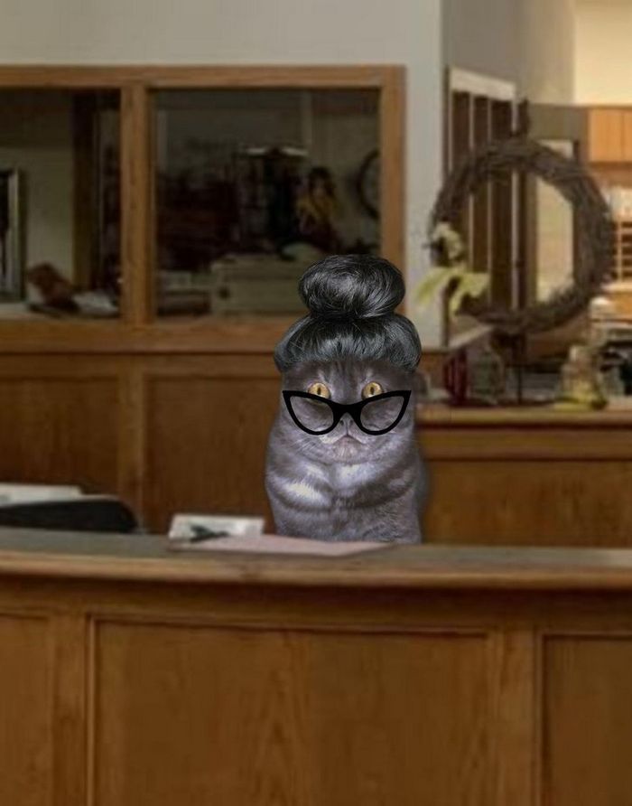 Mestres do Photoshop fazem imagens engraçadas ficarem ainda mais hilárias 2