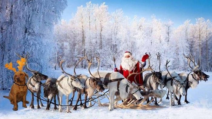 Mestres do Photoshop fazem imagens engraçadas ficarem ainda mais hilárias 4