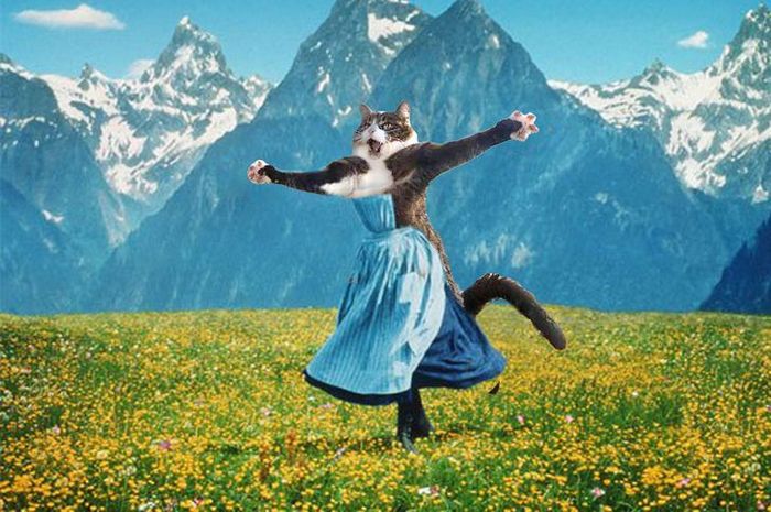 Mestres do Photoshop fazem imagens engraçadas ficarem ainda mais hilárias 13