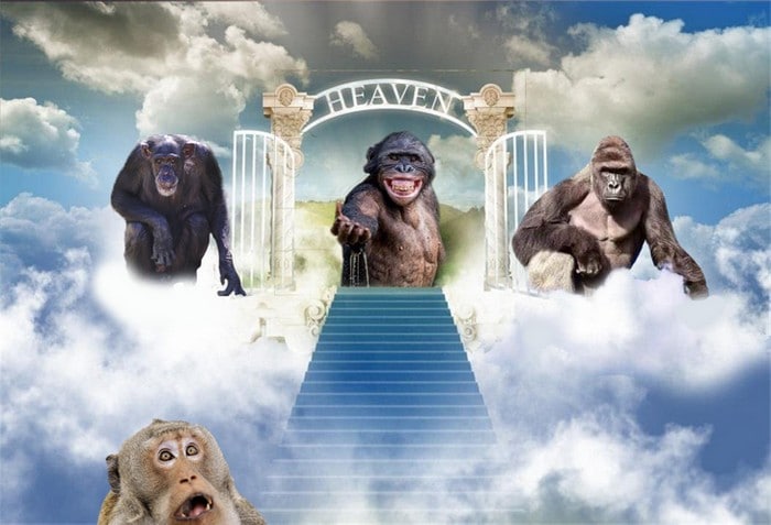 Mestres do Photoshop fazem imagens engraçadas ficarem ainda mais hilárias 15