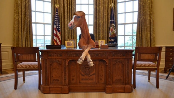 Mestres do Photoshop fazem imagens engraçadas ficarem ainda mais hilárias 19