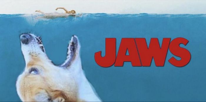 Mestres do Photoshop fazem imagens engraçadas ficarem ainda mais hilárias 23