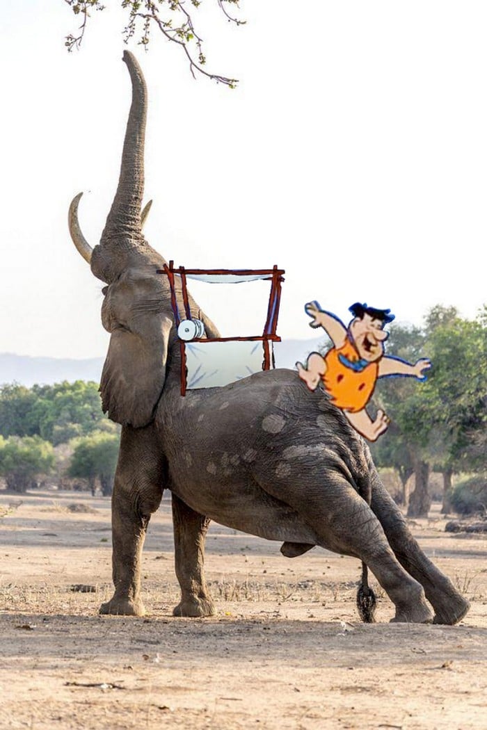 Mestres do Photoshop fazem imagens engraçadas ficarem ainda mais hilárias 31