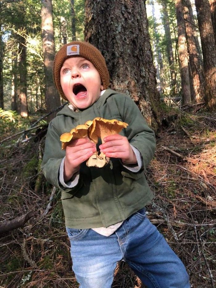 Mestres do Photoshop fazem imagens engraçadas ficarem ainda mais hilárias 36