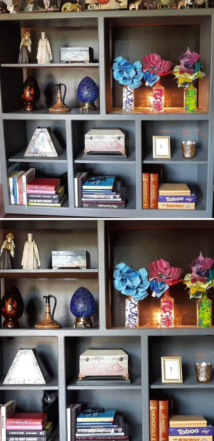 Pessoas postam fotos de cachorros escondidos e a dificuldade de encontrá-los varia de 0 a 100 2