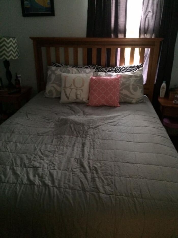 Pessoas postam fotos de cachorros escondidos e a dificuldade de encontrá-los varia de 0 a 100 12