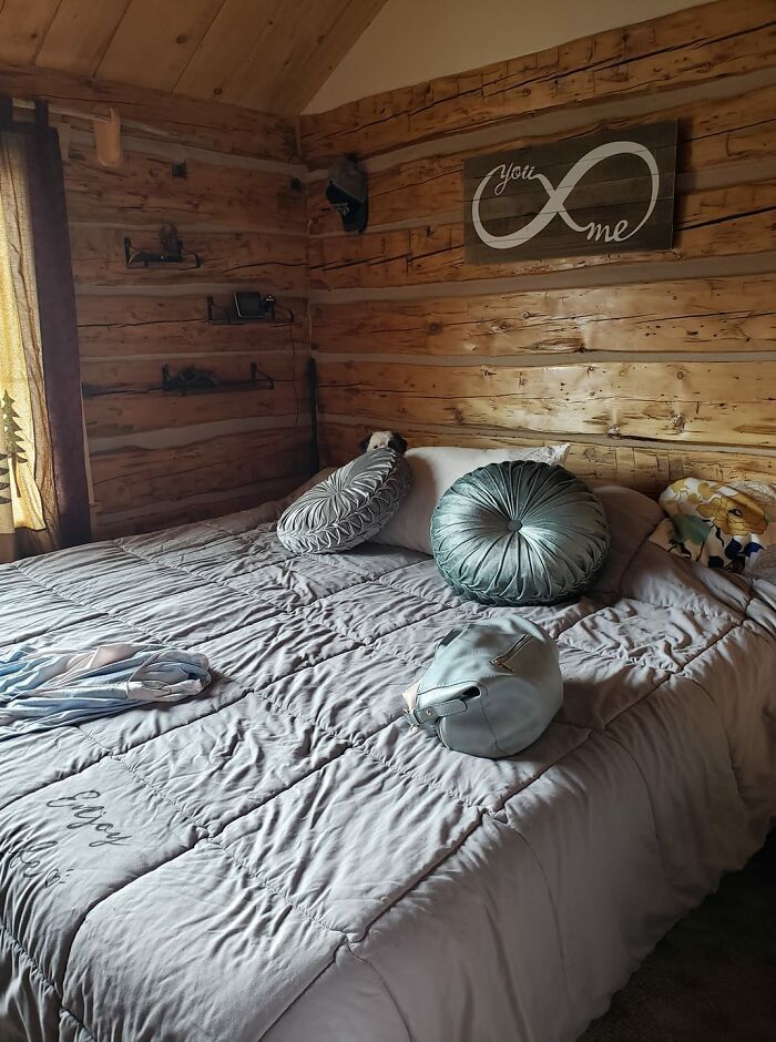 Pessoas postam fotos de cachorros escondidos e a dificuldade de encontrá-los varia de 0 a 100 21