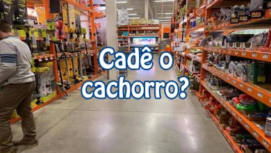 Pessoas postam fotos de cachorros escondidos e a dificuldade de encontrá-los varia de 0 a 100 24