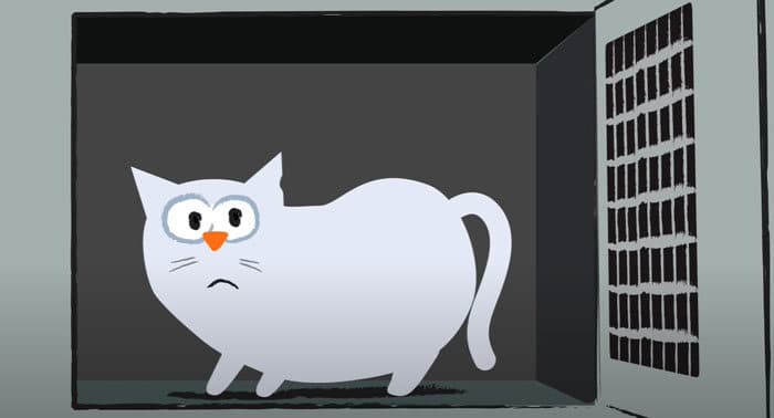 Animação mostra a importância do amor e da amizade 9