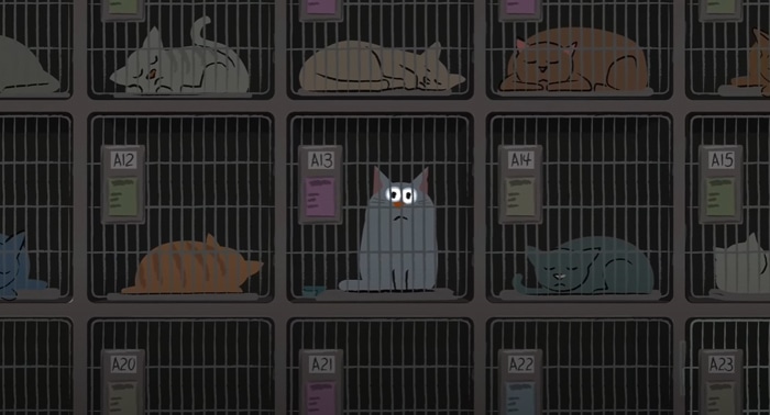 Animação mostra a importância do amor e da amizade 11