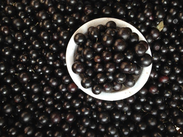 Você come estas frutas com ou sem semente? 25