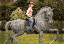 Este artista de Norfolk faz esculturas de animais incríveis com arame 7