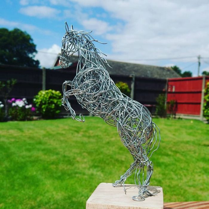 Este artista de Norfolk faz esculturas de animais incríveis com arame 29