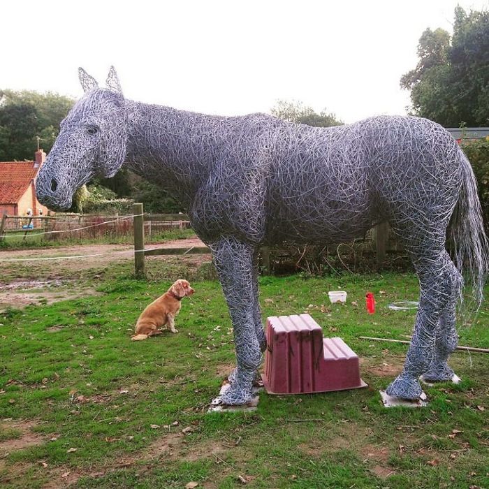 Este artista de Norfolk faz esculturas de animais incríveis com arame 33