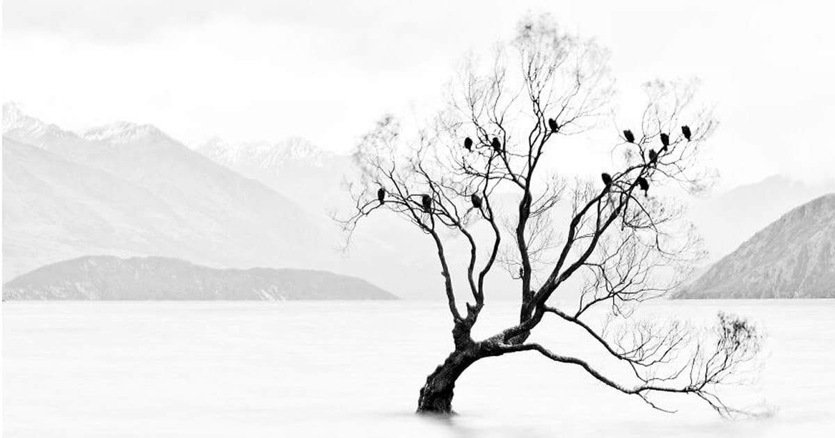 40 fotos da natureza de tirar o fôlego que ganharam o 2020 International Photography Awards