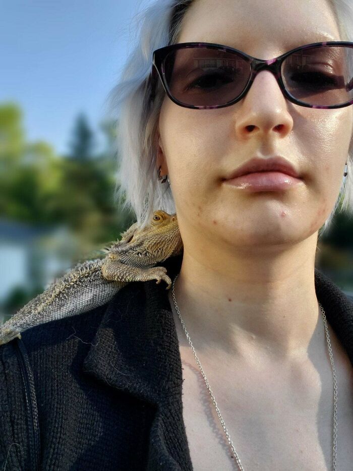 As pessoas postam fotos de gatos nos ombros e agora os proprietários de outros animais de estimação aderiram à tendência 2