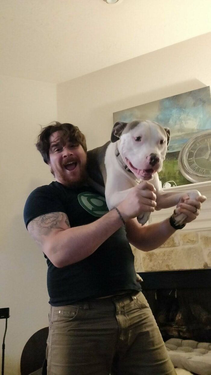 As pessoas postam fotos de gatos nos ombros e agora os proprietários de outros animais de estimação aderiram à tendência 12