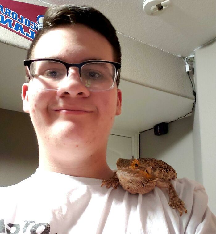 As pessoas postam fotos de gatos nos ombros e agora os proprietários de outros animais de estimação aderiram à tendência 14