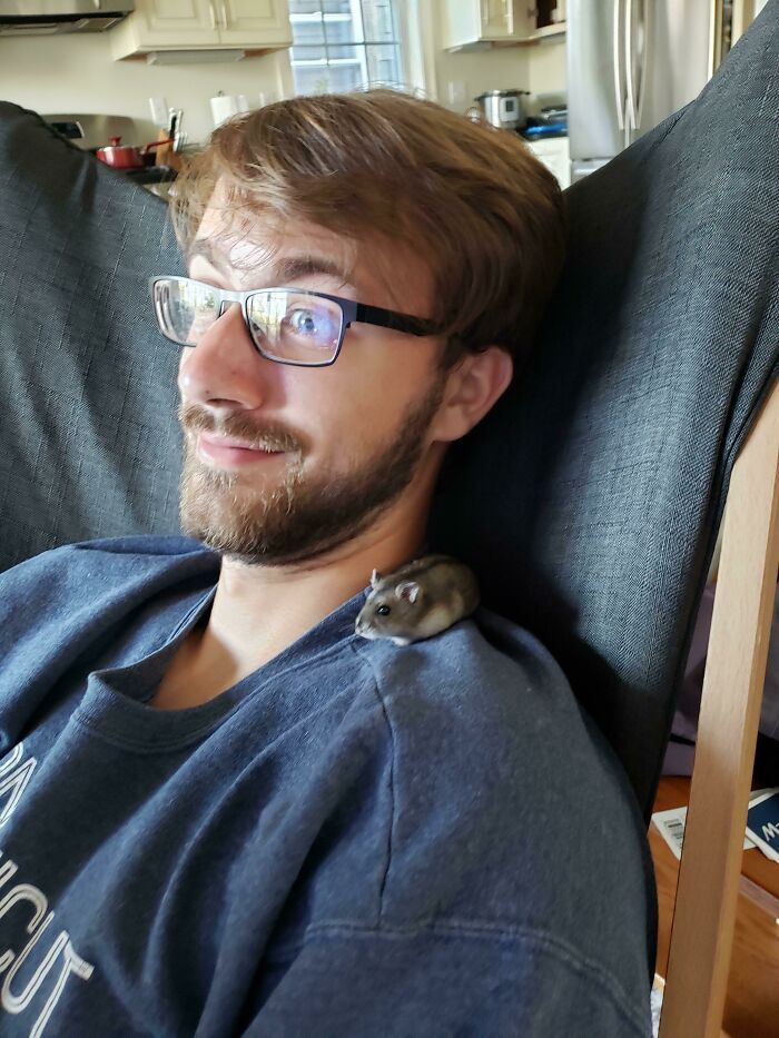 As pessoas postam fotos de gatos nos ombros e agora os proprietários de outros animais de estimação aderiram à tendência 18