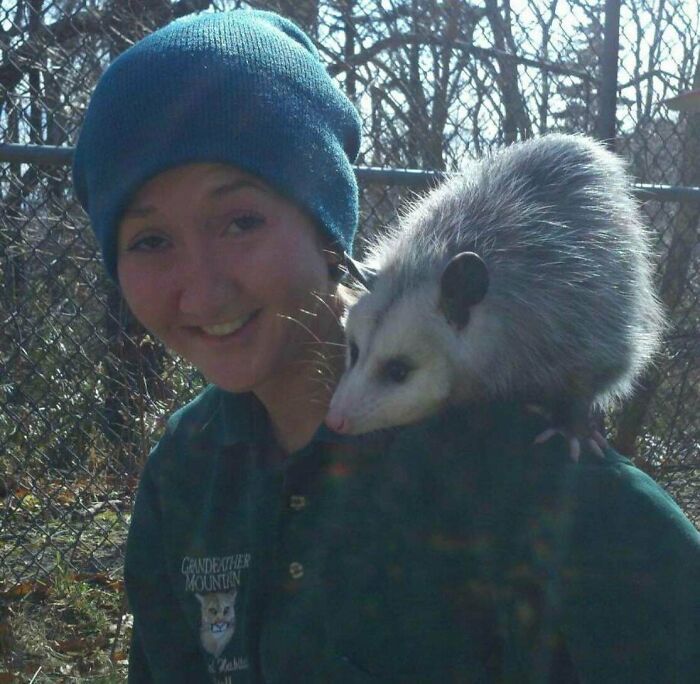 As pessoas postam fotos de gatos nos ombros e agora os proprietários de outros animais de estimação aderiram à tendência 20