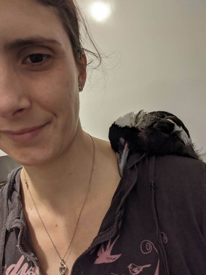 As pessoas postam fotos de gatos nos ombros e agora os proprietários de outros animais de estimação aderiram à tendência 26