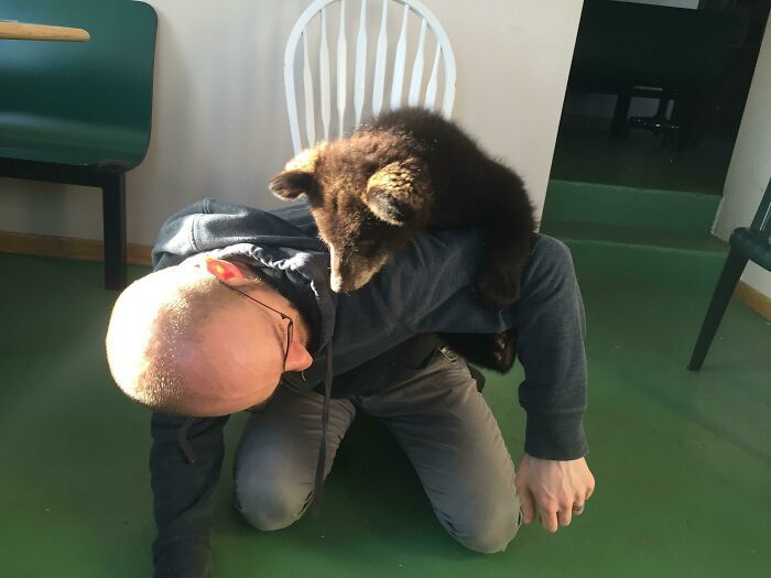 As pessoas postam fotos de gatos nos ombros e agora os proprietários de outros animais de estimação aderiram à tendência 33