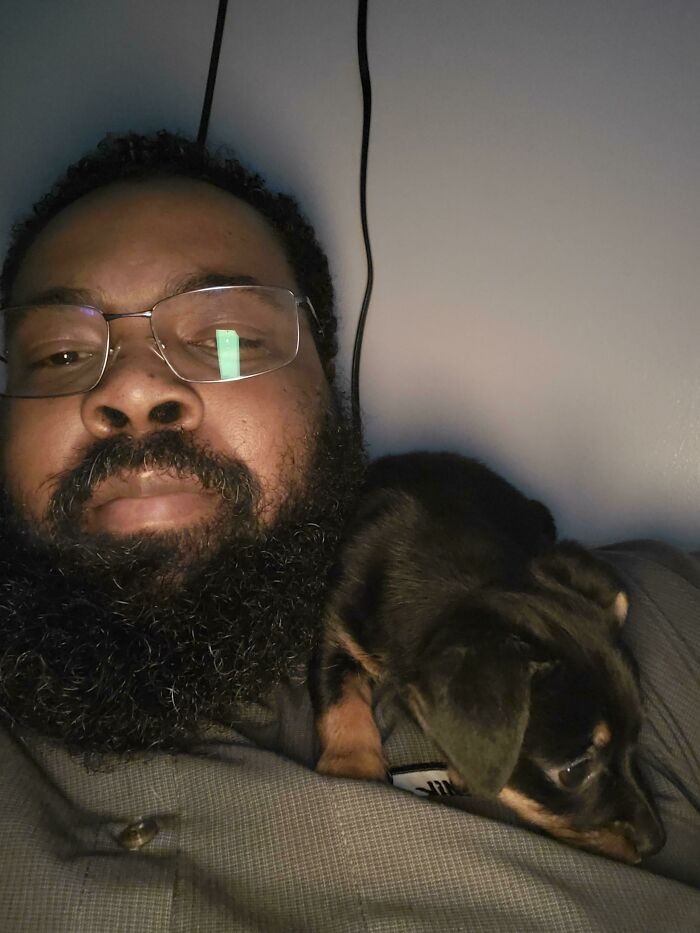 As pessoas postam fotos de gatos nos ombros e agora os proprietários de outros animais de estimação aderiram à tendência 37