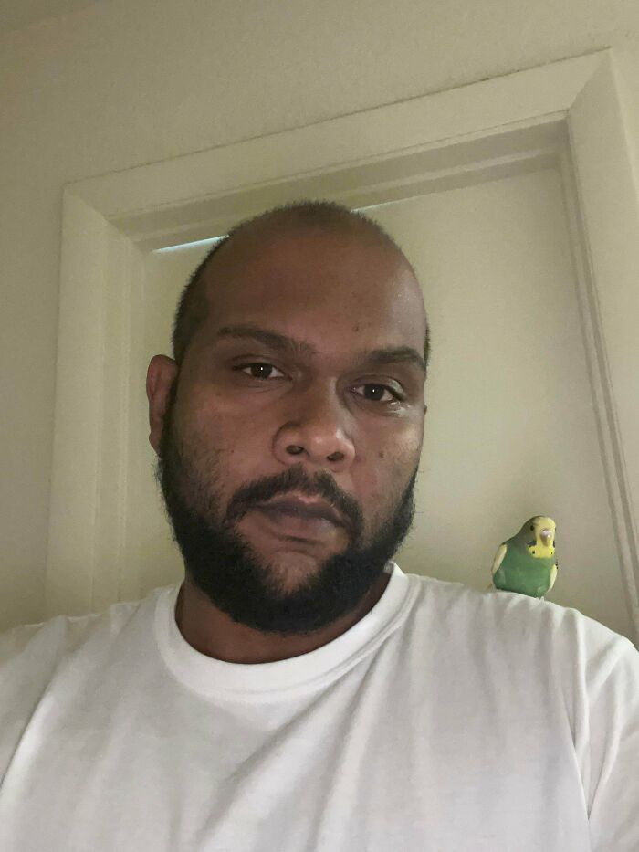 As pessoas postam fotos de gatos nos ombros e agora os proprietários de outros animais de estimação aderiram à tendência 38