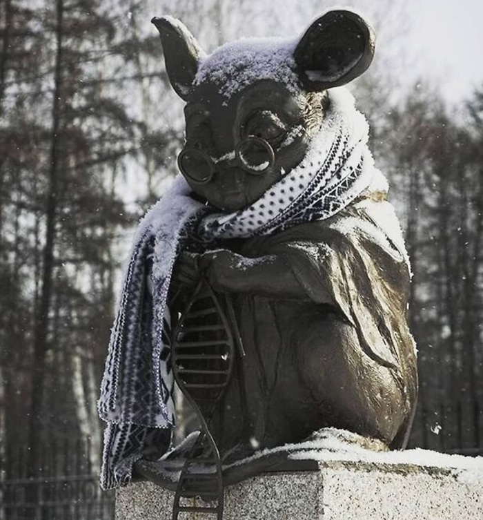 30 fotos que mostram o quão insuportável está o frio na Rússia agora 30