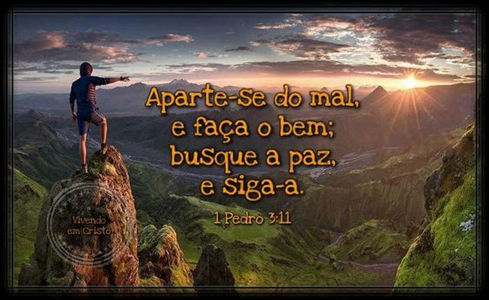 40 ideias de Frases para 2021 22