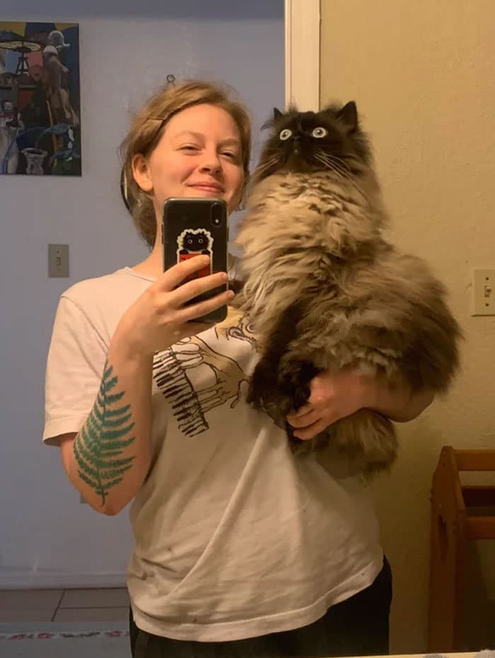 O que há de errado com seu gato? 25 O que há de errado com seu gato? 25