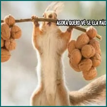 Tentando chamar atenção