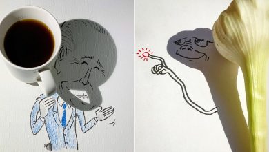 Um artista belga usa sombras para dar vida a objetos 52