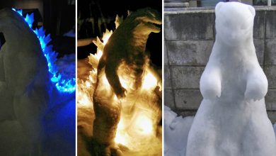 Usuário do Twitter cria esculturas de neve fascinantes e aqui estão 30 das mais legais 3