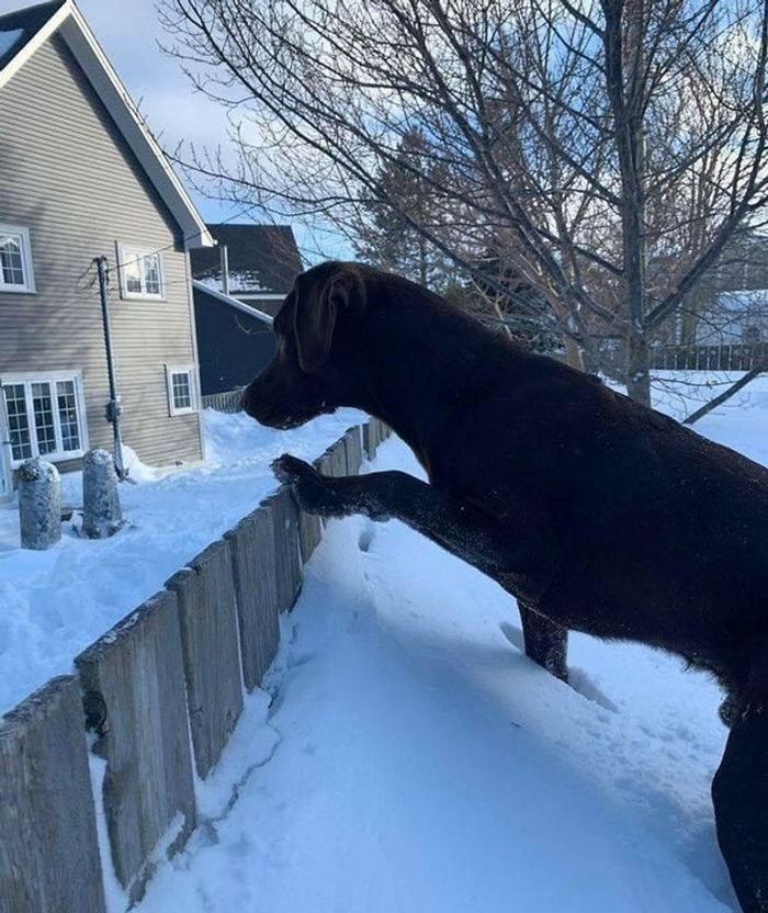 20 fotos que provam que o momento certo podem criar uma obra-prima 3
