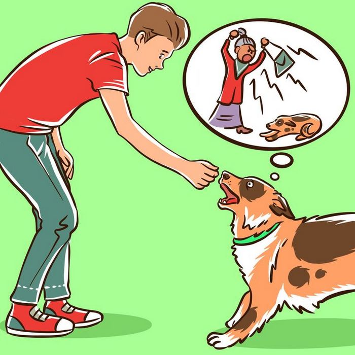 Por que o cachorro late para algumas pessoas e outras não? 5