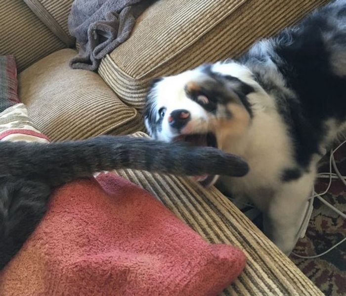 20 fotos que provam que o momento certo podem criar uma obra-prima 6