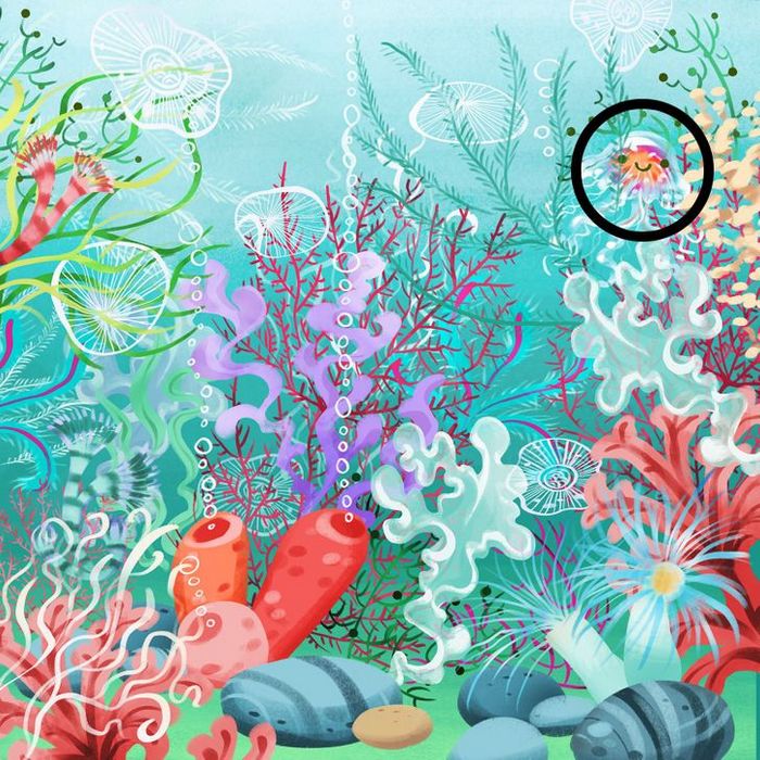 Teste de visão: Prove que você tem olhos de águia 6