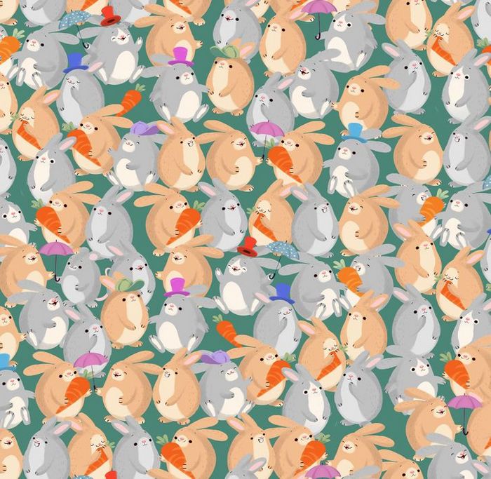 Teste de visão: Prove que você tem olhos de águia 9