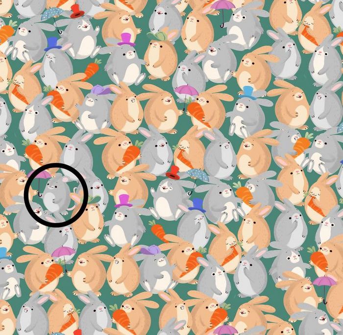 Teste de visão: Prove que você tem olhos de águia 10